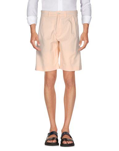 Брюки  -  цвет