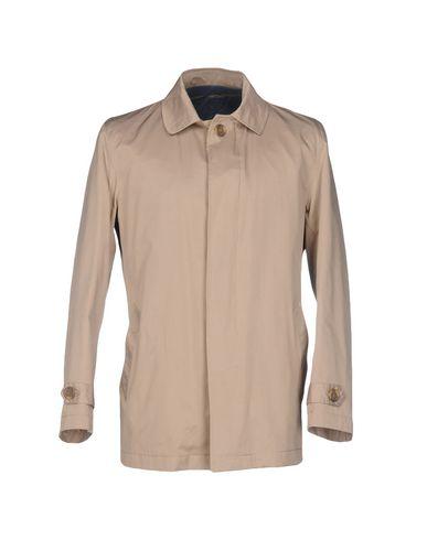 Пальто  - Бежевый,Темно-синий цвет