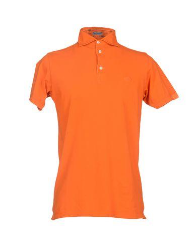 Поло  -  цвет