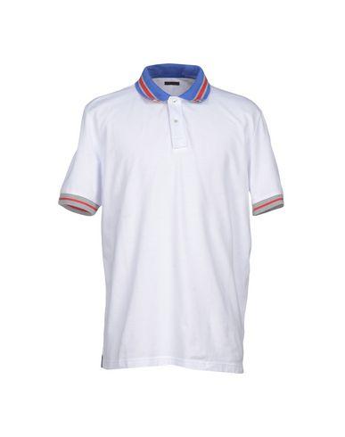 Поло  -  цвет