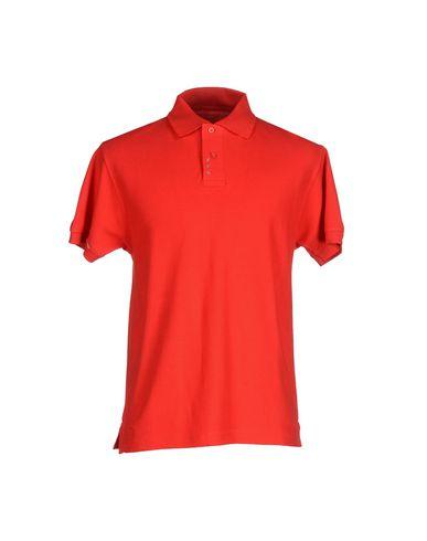 Поло  -  цвет