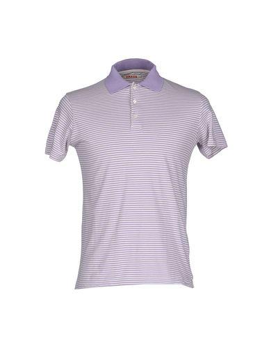 Поло  -  цвет