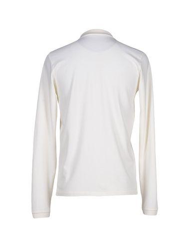 Поло  -  цвет