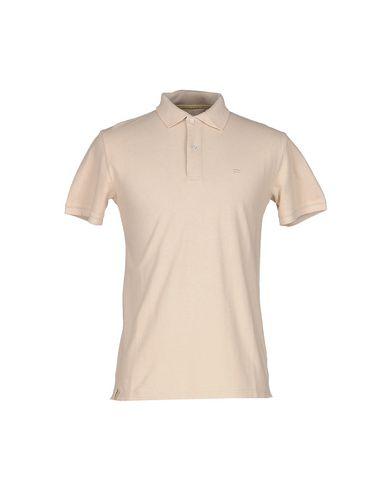 Поло  -  цвет