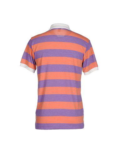 Поло  -  цвет