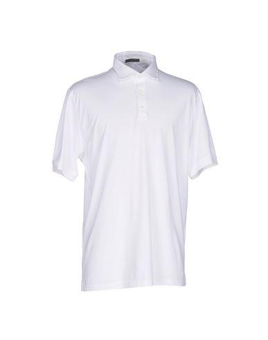 Поло  -  цвет