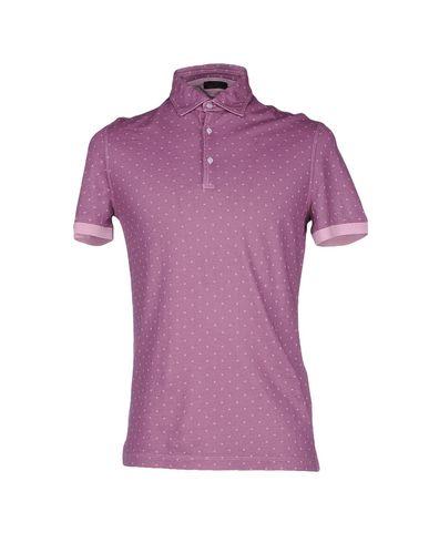 Поло  -  цвет