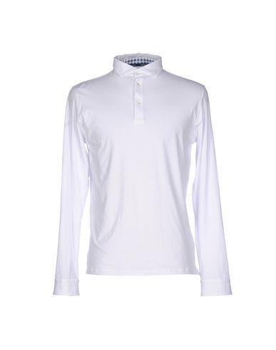 Поло  -  цвет