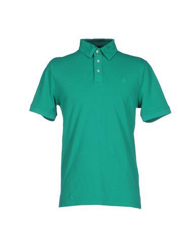 Поло  -  цвет