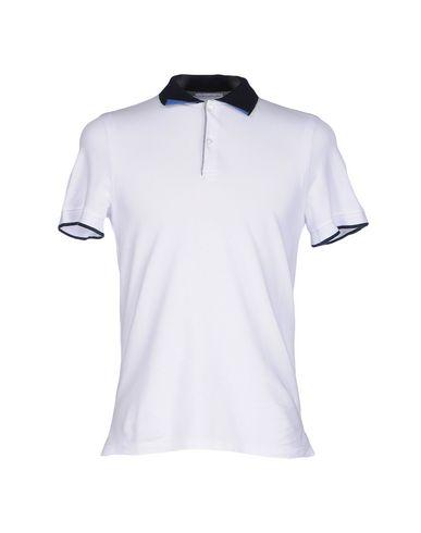 Поло  -  цвет