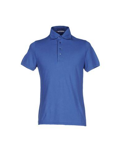 Поло  -  цвет