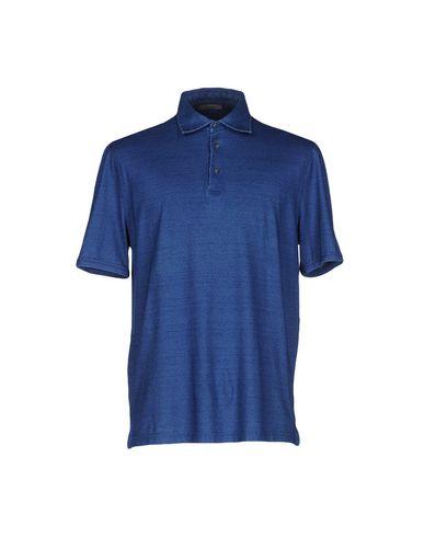 Поло  -  цвет