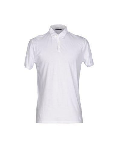 Поло  -  цвет