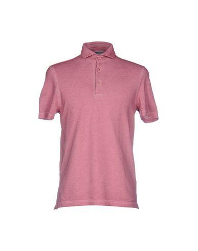 Поло  -  цвет