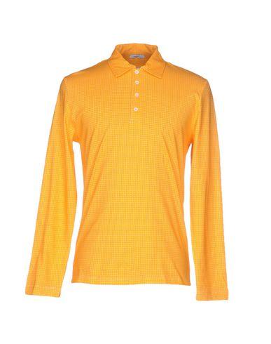 Поло  -  цвет