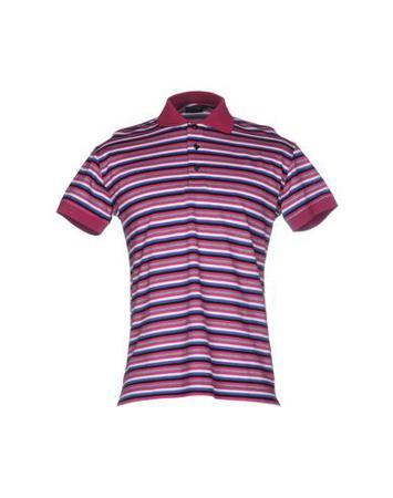 Поло HARRY & SONS