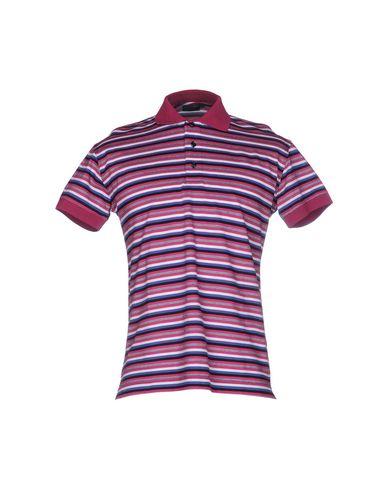 Поло  -  цвет