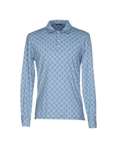 Поло  -  цвет