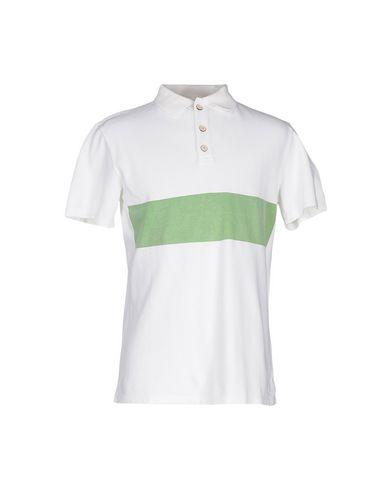 Поло  -  цвет