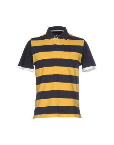 Поло  -  цвет