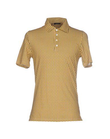 Поло  -  цвет