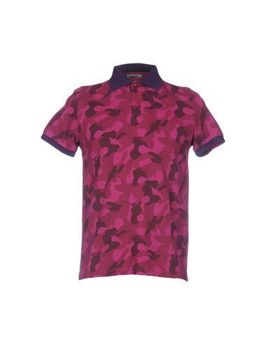 Поло  -  цвет