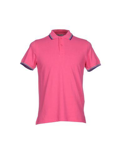 Поло  -  цвет