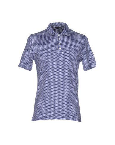 Поло  -  цвет