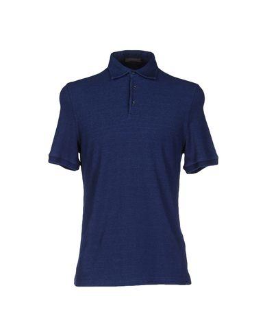 Поло  -  цвет