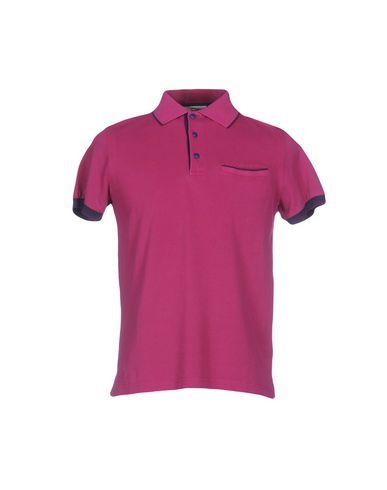 Поло  -  цвет