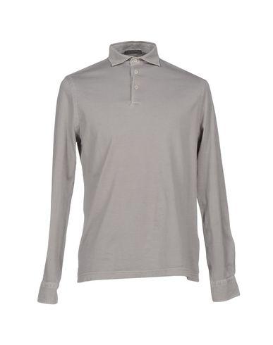 Поло  -  цвет