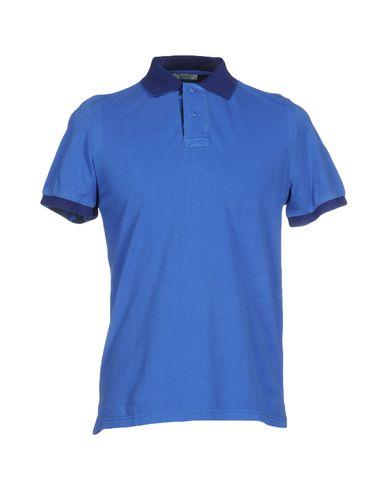 Поло  -  цвет