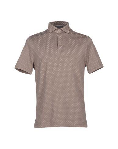 Поло  -  цвет