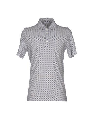 Поло  -  цвет