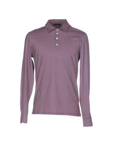 Поло  -  цвет