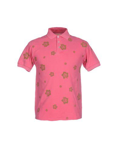 Поло  -  цвет