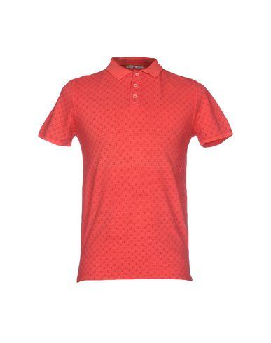 Поло  -  цвет