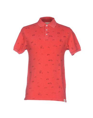 Поло  -  цвет