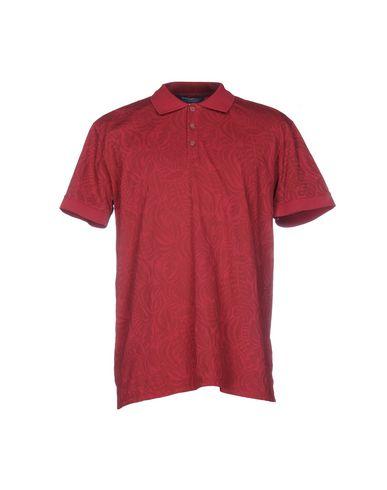 Поло  -  цвет