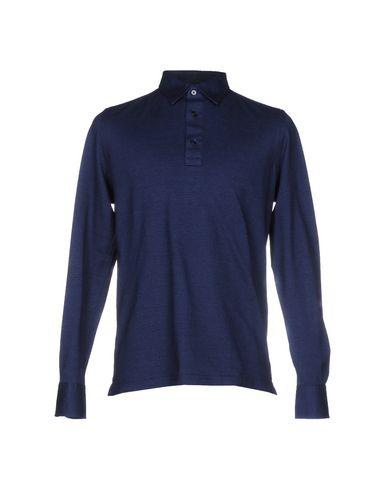 Поло  -  цвет