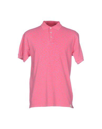 Поло  -  цвет