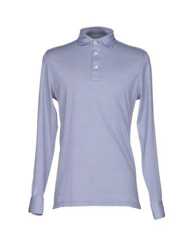 Поло  -  цвет