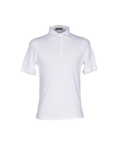 Поло  -  цвет