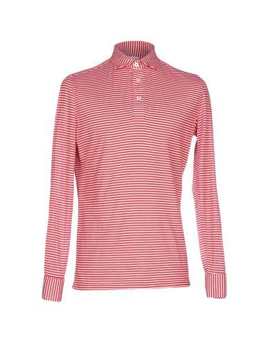 Поло  -  цвет