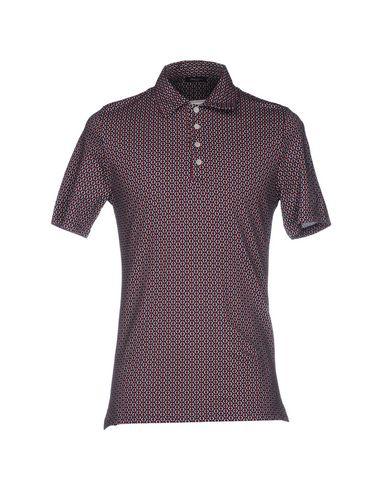 Поло  -  цвет