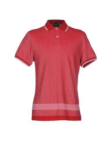 Поло  -  цвет