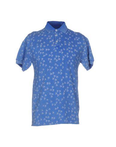 Поло  -  цвет