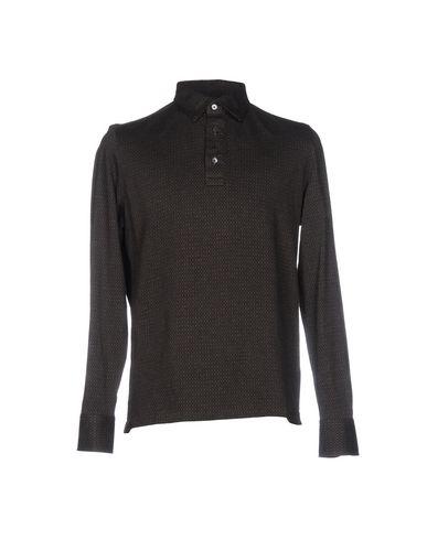 Поло  -  цвет