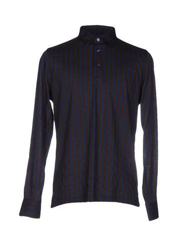 Поло  -  цвет