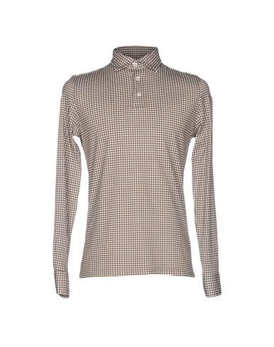 Поло  -  цвет